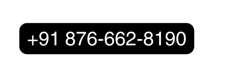 91 876 662 8190